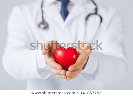 Сток-фото: Doctor Cardiologist Holding Heart