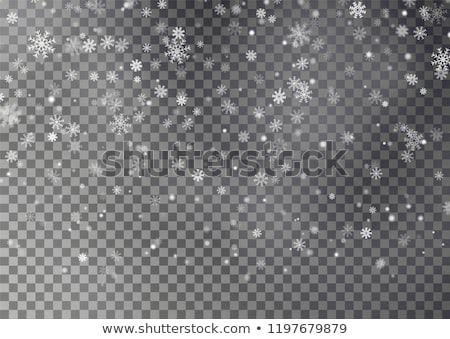 Stock foto: Snowfall With Random Snowflakes In The Dark