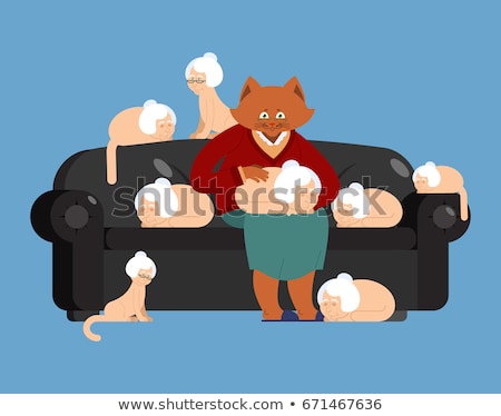 Stock foto: Cat And Grandmother In Parallel Universe Big Pet And Old Woman