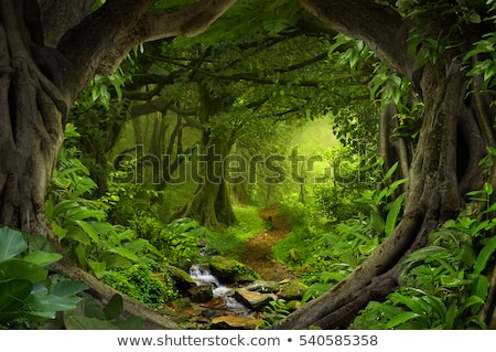 Stok fotoğraf: A Green Jungle Landscape