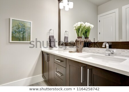 Сток-фото: Bathroom Modern Interior With Dark Hardwood Cabinets And Large M