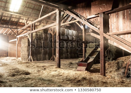 Zdjęcia stock: Hay Bales In A Barn