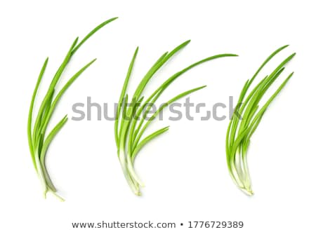 Сток-фото: Young Green Onions