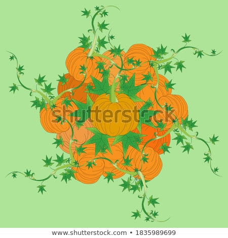 Stock photo: Pile Of Pumpkins With Autumn Foliage On Abstract Background