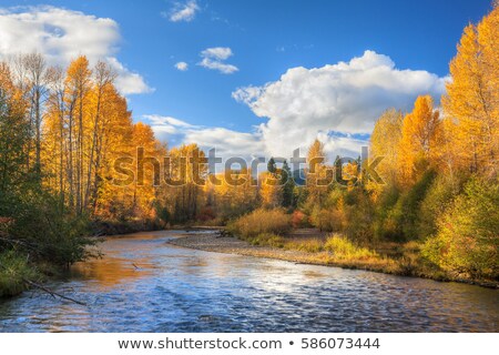 Stok fotoğraf: Snoqualmie Falls In Washington State