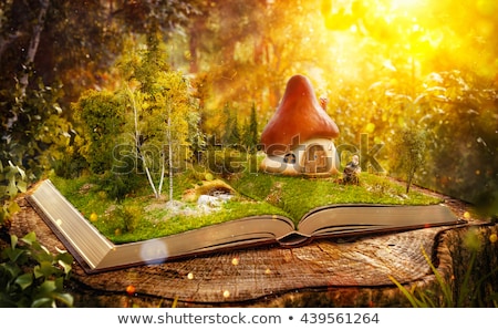 Foto stock: Mushroom House Book