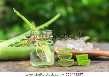 Сток-фото: Massage Stones With Aloe Vera