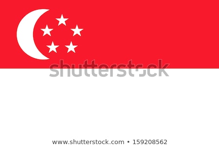 Foto stock: Singapore Flag Vector Illustration