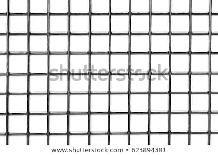 Foto d'archivio: Welded Metal Wire Mesh Fence Closeup