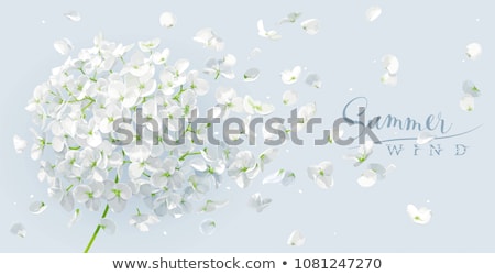 Stock photo: Blowing Flower