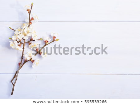 Stock foto: Grunge Frame With Bunch Of Flower On The Wooden Background