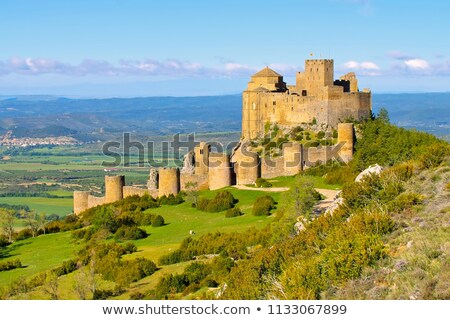 Tower In A Castle Of Loarre Spain Imagine de stoc © LianeM