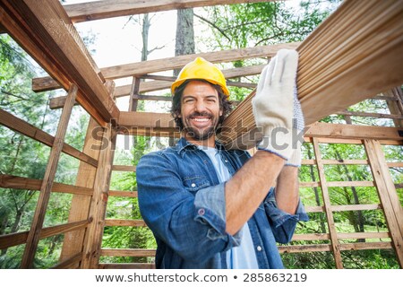 Stock photo: Carpenter Carrying Plywood