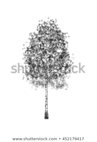 Stok fotoğraf: Birch Drawing Tree On White Bacground Black Silhouette Wood Graphic Arts