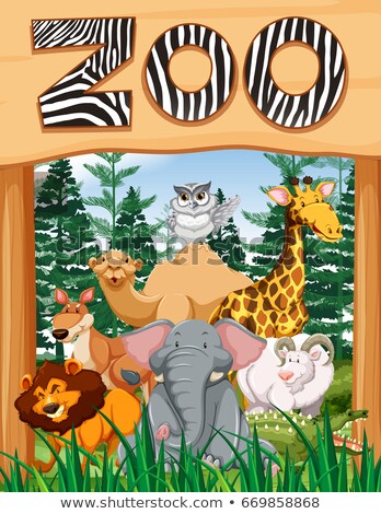 Imagine de stoc: Wild Animals Under The Zoo Sign