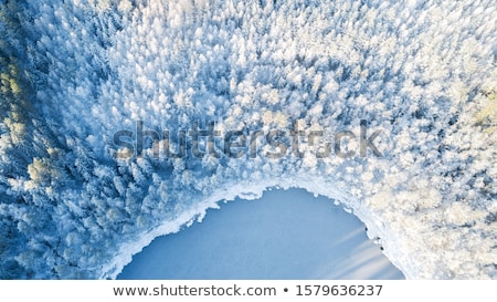 Foto stock: Lake And Snow Covered Trees