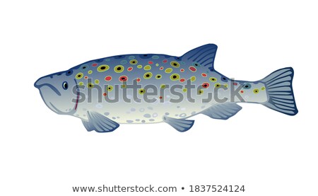 ストックフォト: Rainbow Colored Vectorized Ink Sketch Of Fish Illustration