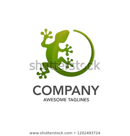 Foto stock: Creative Gecko Logo Vector