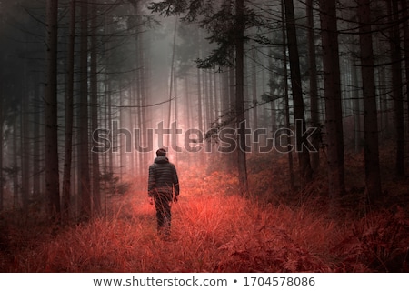 Zdjęcia stock: A Man In A Fog