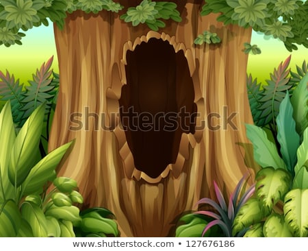 Foto d'archivio: In The Hollow Of A Tree Trunk