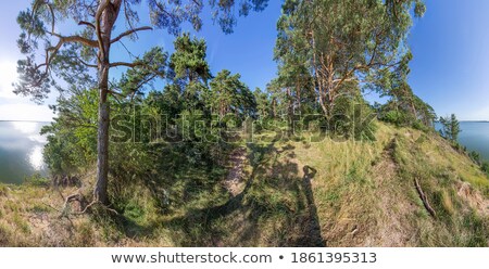 ストックフォト: Achterwasser In Usedom At The Baltic Sea