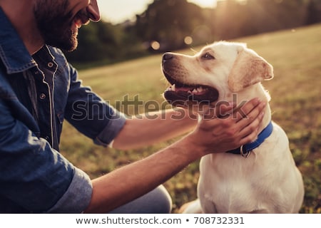 Foto stock: People And Dogs At The Dog Park