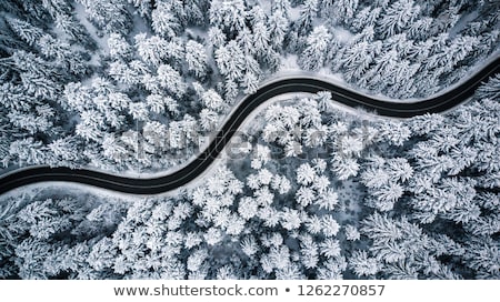 ストックフォト: Aerial View Of Winter Forest - Trees Covered With Snow