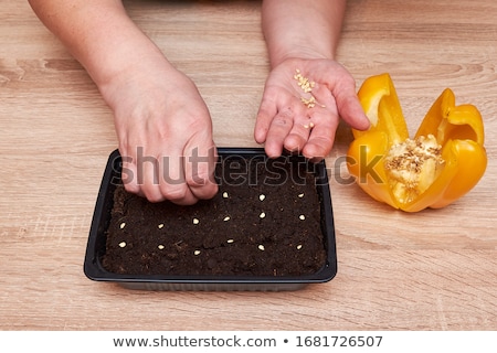 Stock photo: Young Man Chopping A Bell Pepper