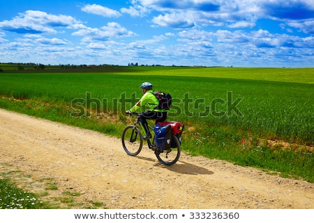 Foto stock: Cereal Fields By The Way Of Saint James In Castilla