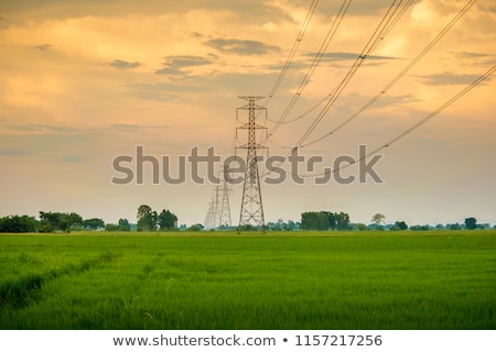 Stok fotoğraf: Tower For Electricity In Rural Landscape