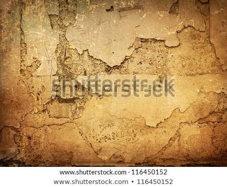 Brown Grungy Wall - Great Textures For Your Design [[stock_photo]] © ilolab