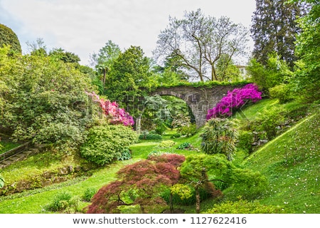 Foto stock: Villa Taranto Garden