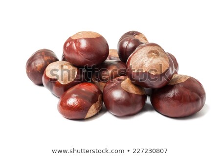 Stok fotoğraf: Close Up Of Horse Chestnuts On White Background