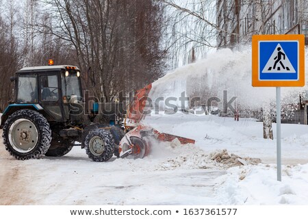 Foto stock: Frozen Plants In The Snow In Front Of A Blizzard