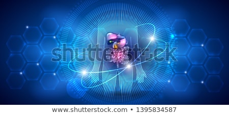 [[stock_photo]]: Pancreas And Surrounding Organs Background