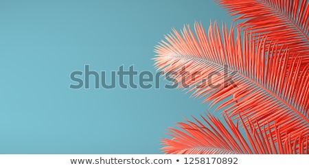 Zdjęcia stock: Abstract Living Coral Color Background