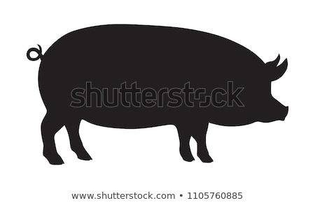 Stok fotoğraf: Pig Silhouette