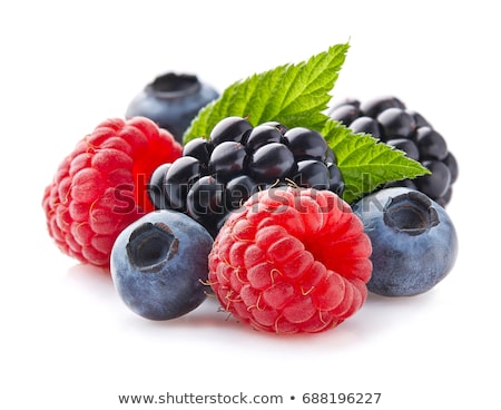 Berries Fruits Stok fotoğraf © Dionisvera