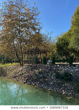 Stock photo: Clean Lake Among Dense Forest On A Summer Sunny Day