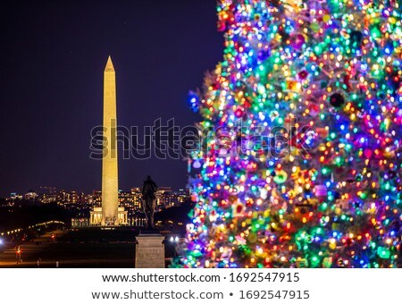 Stok fotoğraf: View To Capitol Hill Over The Mall