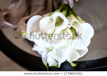 Stock photo: White Calla Lily