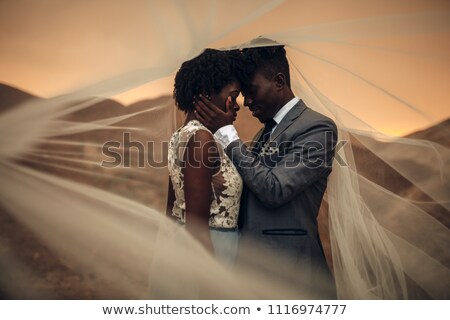 Couple Celebrating A Wedding In The Mountains Imagine de stoc © Stasia04