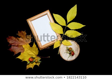 ストックフォト: Dry Roses And Maple Leaf On Old Wooden Background