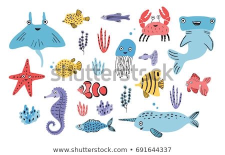 Stock photo: Different Sea Creatures