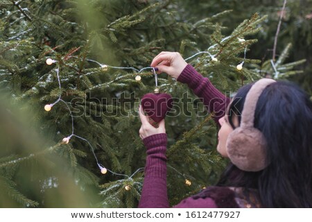 Stock foto: Chönheitsdame · im · Pelz · mit · rotem · Herz