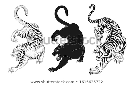 Japanese Tiger Tattoo Stock Vector  RoyaltyFree  FreeImages