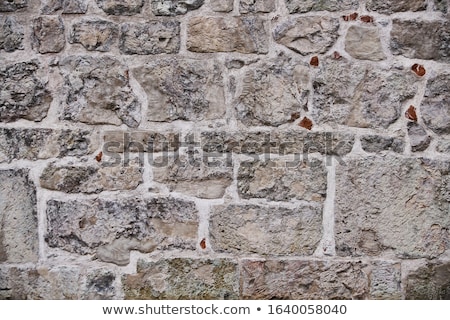 Foto d'archivio: Old Stone Wall