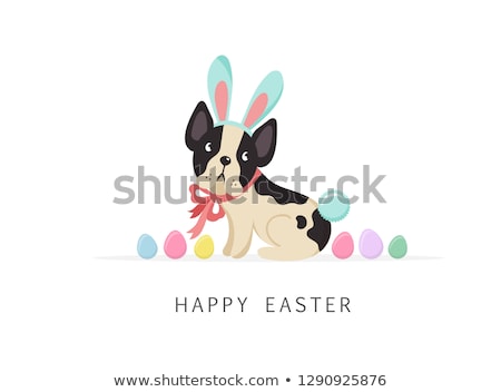 Stock photo: Easter Bunny Dog