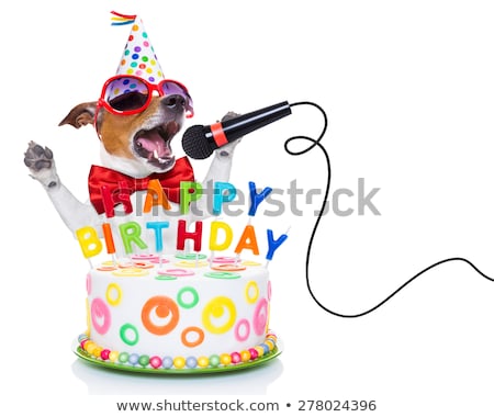 Stock fotó: Happy Birthday Dog