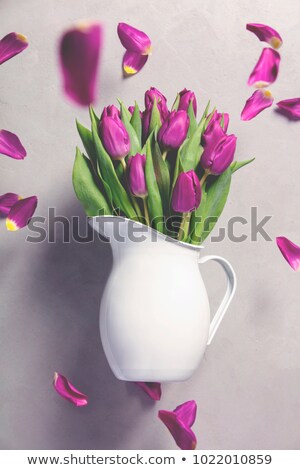 Сток-фото: Levitating Purple Tulips